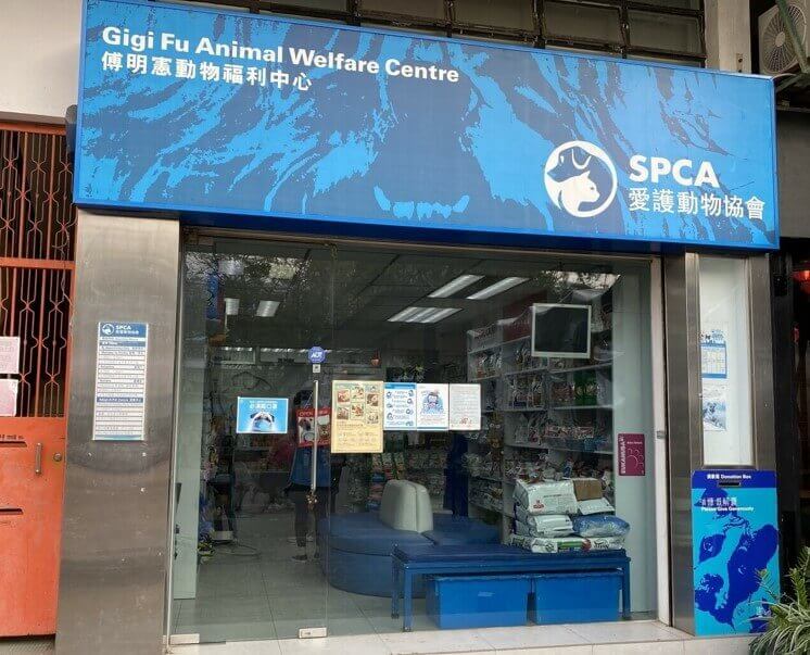 SPCA狗針灸