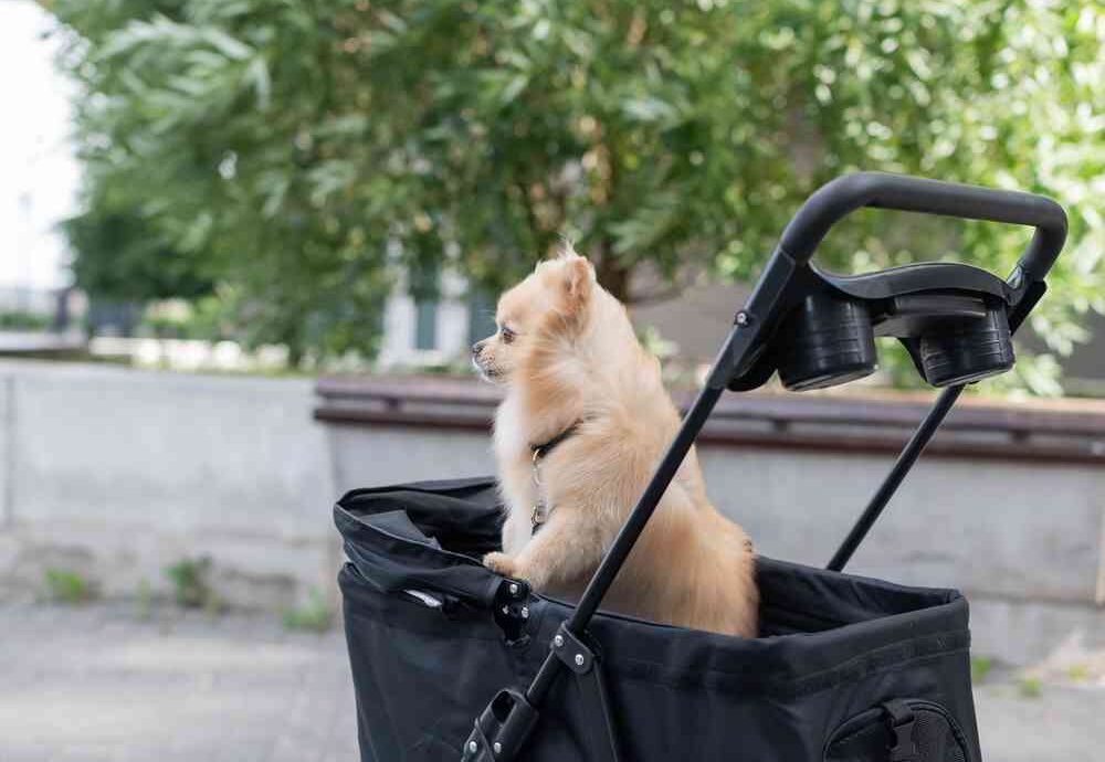 寵物推車推薦