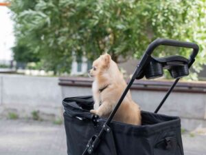 寵物推車推薦