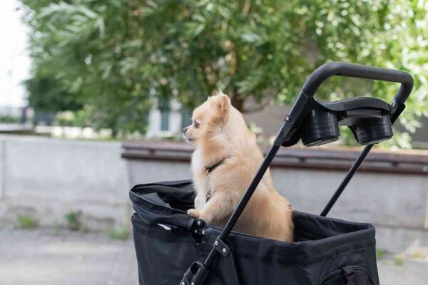 寵物推車推薦